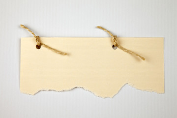 Ripped paper