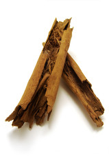 Cinnamomum zeylanicum