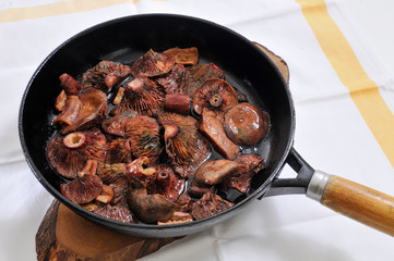 Níscalos de sangre vinosa (Lactarius sanguifluus) cocinados