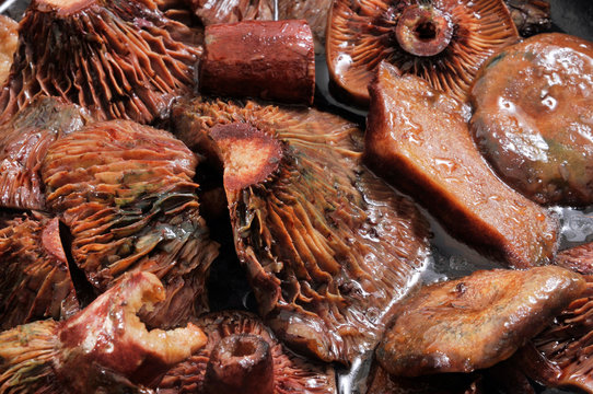 N&iacute;scalos de sangre vinosa (Lactarius sanguifluus) cocinados