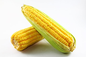 corn