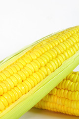 corn