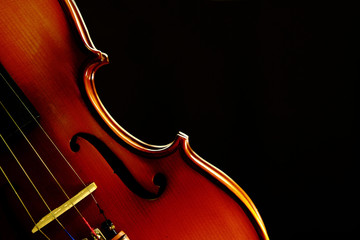 Vintage violin on black background