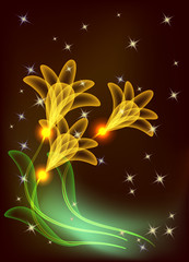 Transparent flowers and stars