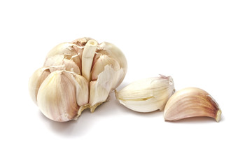 Garlic