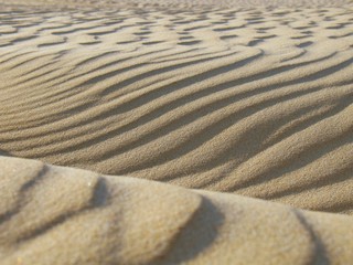 Sand - Dünen