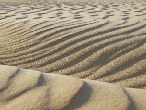 Sand - D&uuml;nen