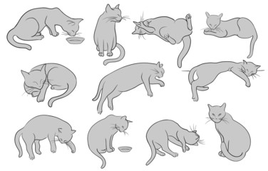 Set of line cats silhouette