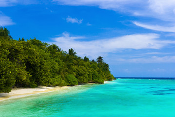 Ocean and tropical beach