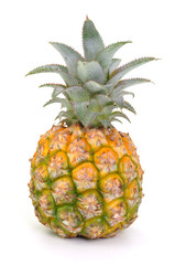 Mini-Ananas