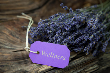 Wellness