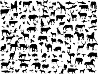 big collection of different animals silhouette - vector
