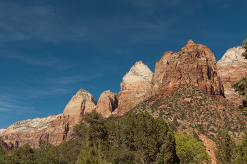 Fototapeta premium Zion Nationalpark