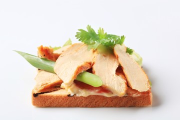 Turkey sandwich