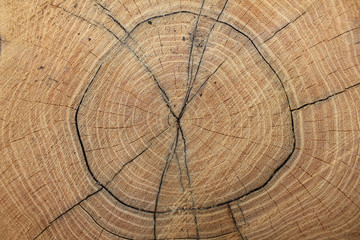 Naklejka premium Wooden texture