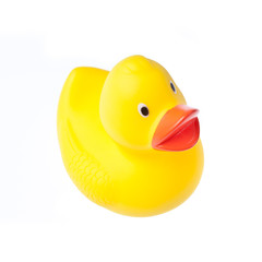Rubber duck isolated on the white background
