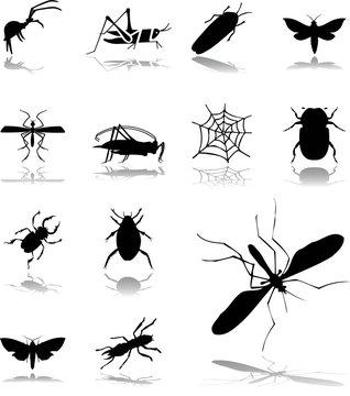 Set icons - 180. Insects