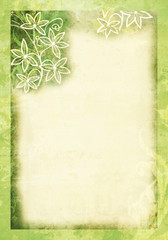 Paper with Green Abstract Floral Border