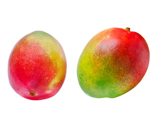 Mango isolated on white background