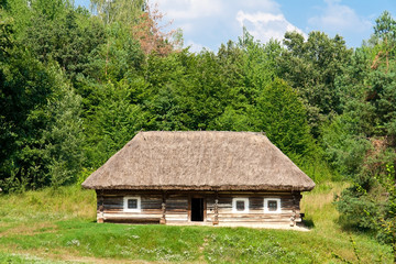 Plakat traditional ukrainian house