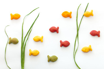 Crackers. Aquarium. Green Onion.