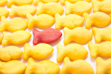 Yellow and Red Crackers
