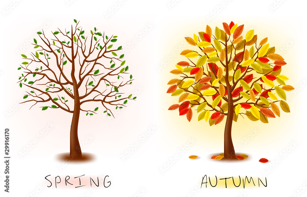 Poster art tree beautiful for design. vector