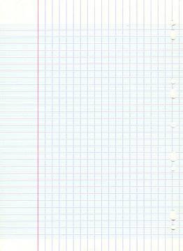 Feuille Blanche Vide De La Norme A4 Dans Un Dossier D'agrafe Photo stock -  Image du planchette, supplémentaire: 46947062