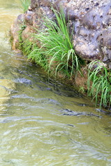 Borosa river source Sierras de Cazorla Jaen Spain