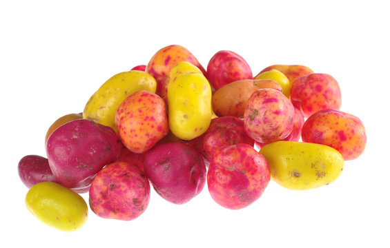 Ulluco (lat. Ullucus tuberosus), Peruvian vegetable