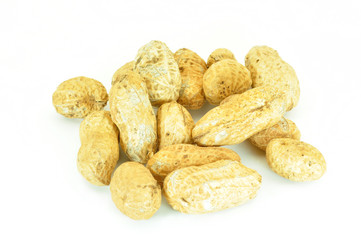 peanuts in shells