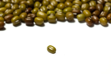 mung bean