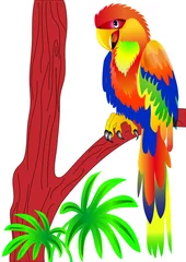 Crédence de cuisine en verre imprimé Animaux de la forêt perroquet assis sur un arbre