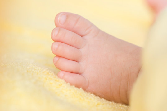 Lovely infant foot.