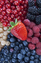Mixed Berries
