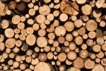 Möbelaufkleber Stacked timber logs © mema
