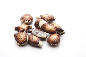 Muscheln aus Schokolade