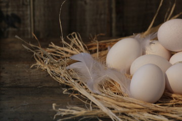 Ostern / Dekoration