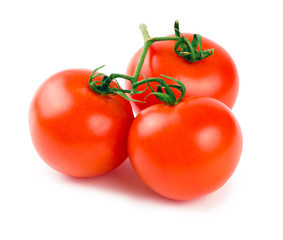 Three tomatoes with a green branch isolated on a white