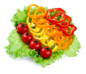Mix of fresh vegetables from a colored paprika on leaves