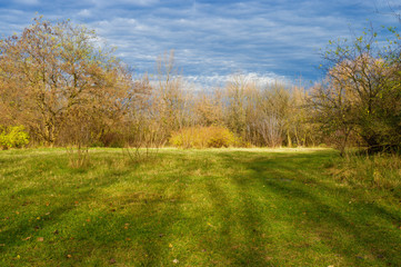 Fototapeta premium Autumn Landscape