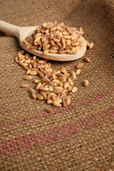 farro secco su cucchiaio di legno