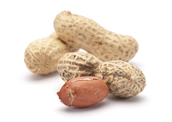 Peanut in shell