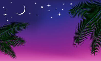 Fototapeta na wymiar Night sky and a palm branch.