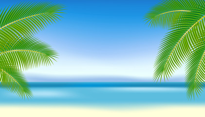 Fototapeta premium Branches of palm trees against the blue sea.