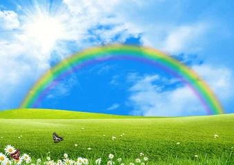 Foto op Plexiglas Regenboog over een groene open plek de blauwe lucht en de zon © Zhanna Ocheret