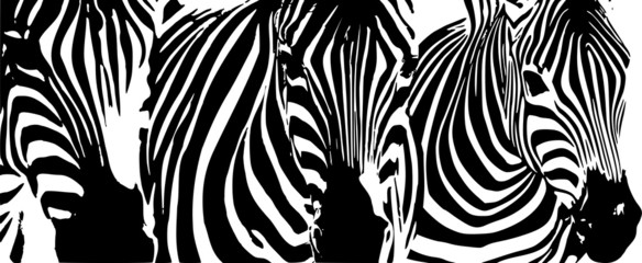 background by zebras