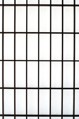 Fototapeta premium Japanese screen door