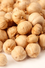 A close-up of cartdamon seeds