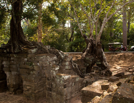 Balade en Tuk-Tuk dans les temples d'Angkor Wat - Cambodge